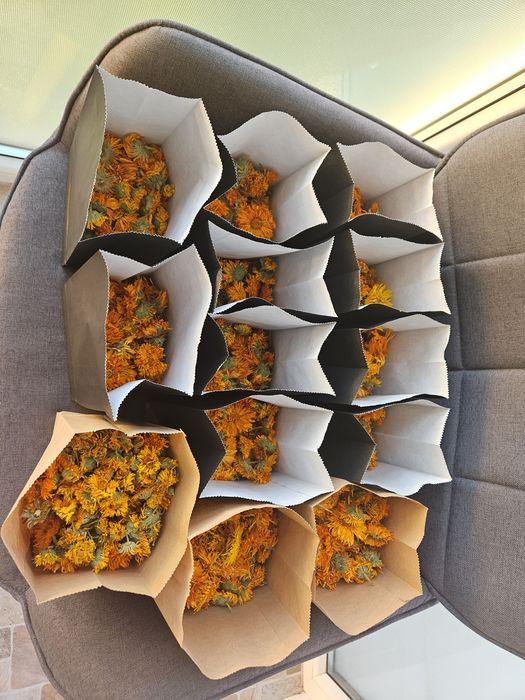 Vând 800 grame flori uscate de galbenele(Calendula officinalis)
