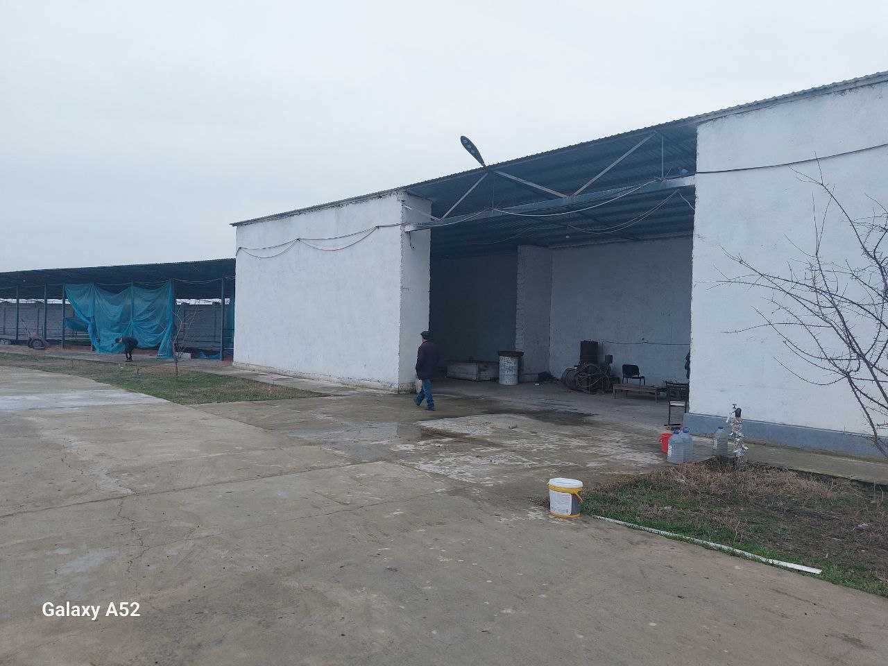 Продаю ферму
Аккурган, куйичирчик
4 га
Собственность
Под застройку