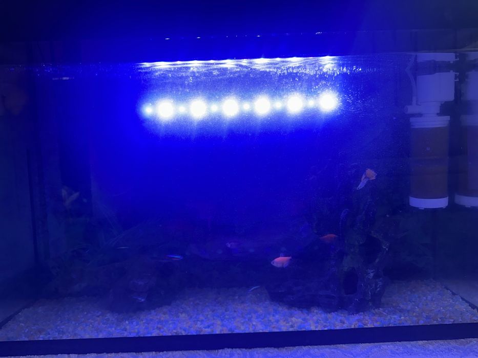 Продам аквариум с рыбками