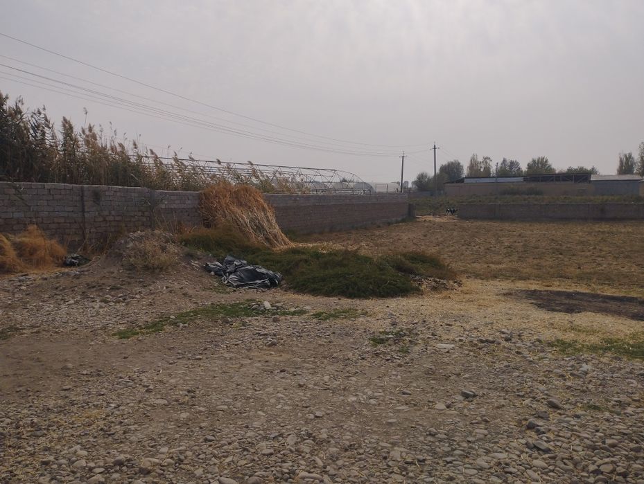 3xonali kafolati bilan