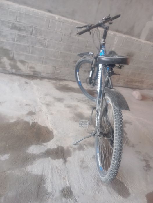 Velik sotiladi aybi yo