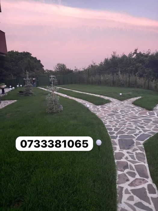 Piatra Naturala de Munte