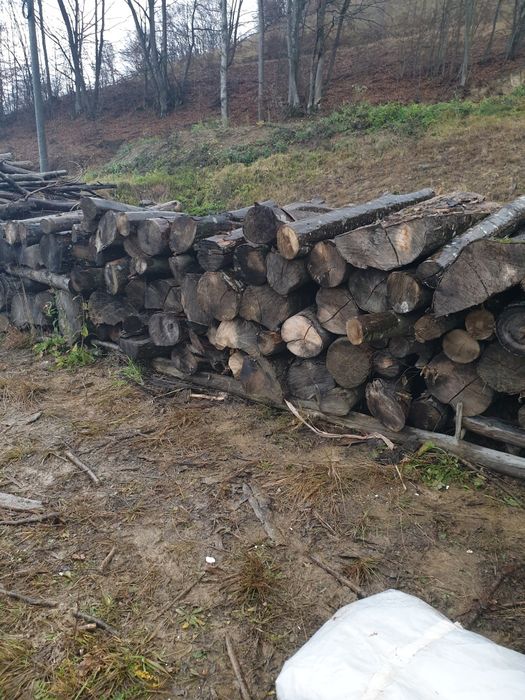 Lemne de foc (Carpen)