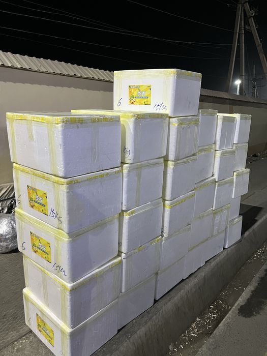 Продаю термоконтейнер