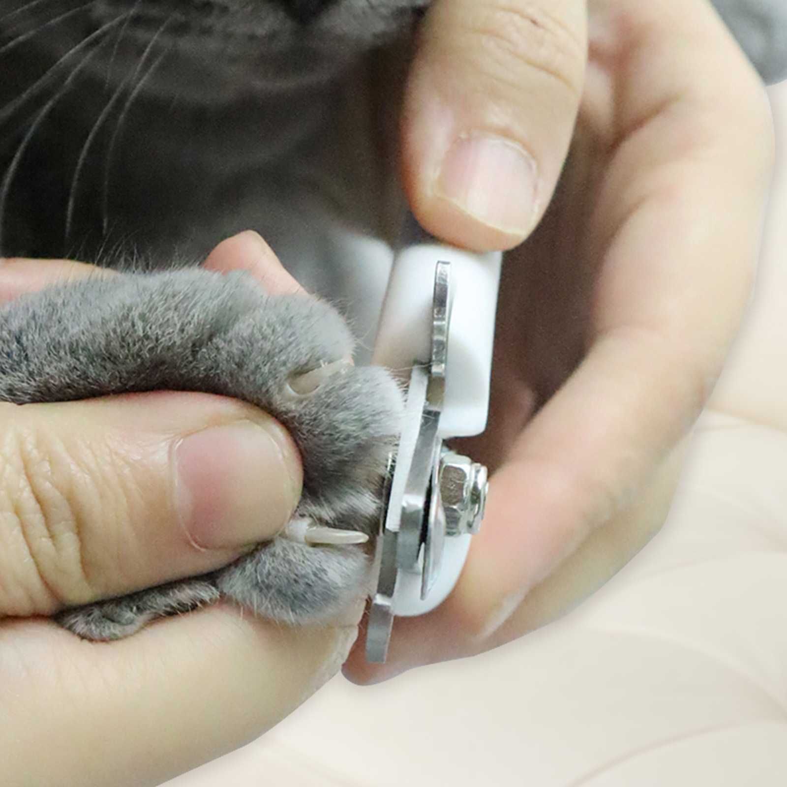 Комплект от ножичка клещи и пиличка за нокти на куче/котка