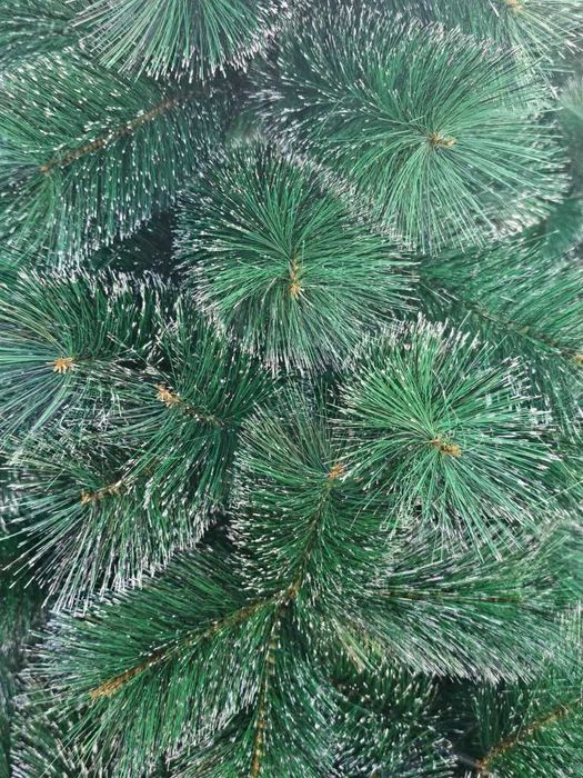 Коледна елха с бели заскрежени връхчета