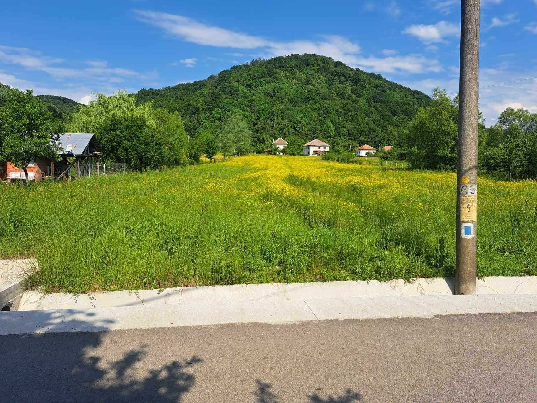 Teren vanzare construibil Baia de Arama