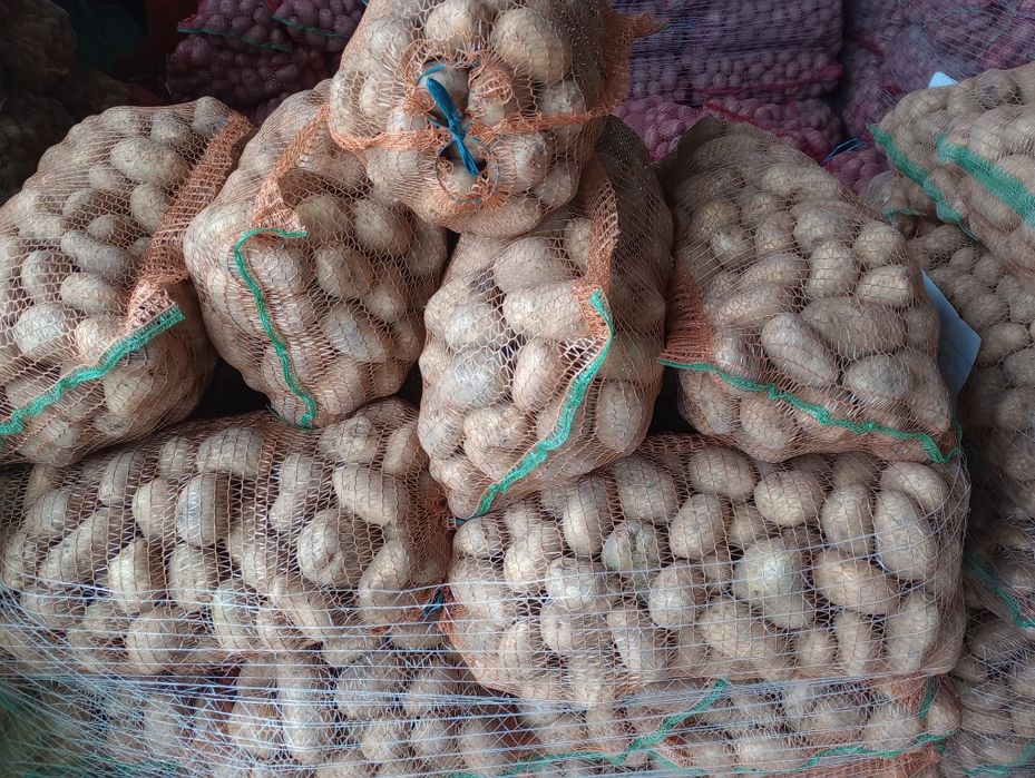 Cartof consum alb rosu! Porumb!