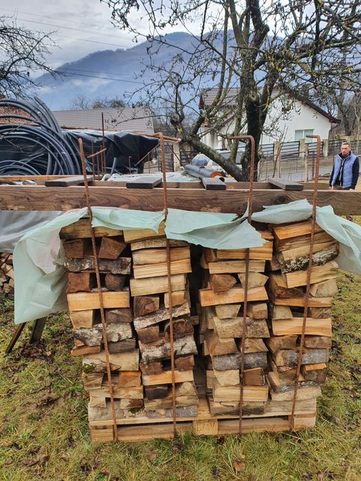 Lemne foc esența tare Fag