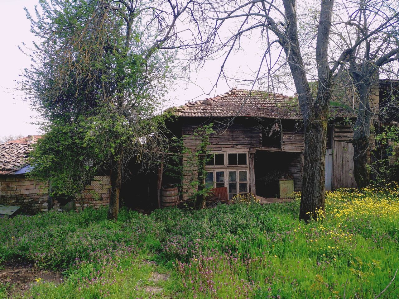 Продава се Къща в с. Славяново, Област Търговище - 100 кв.м за 128 €/кв.м - Снимка #4