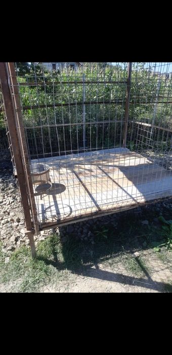 Vând țarc pentru caine