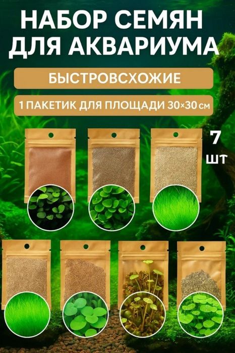 Аквариум учун Растения тухуми