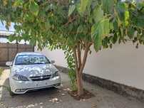 Chevrolet Gentra