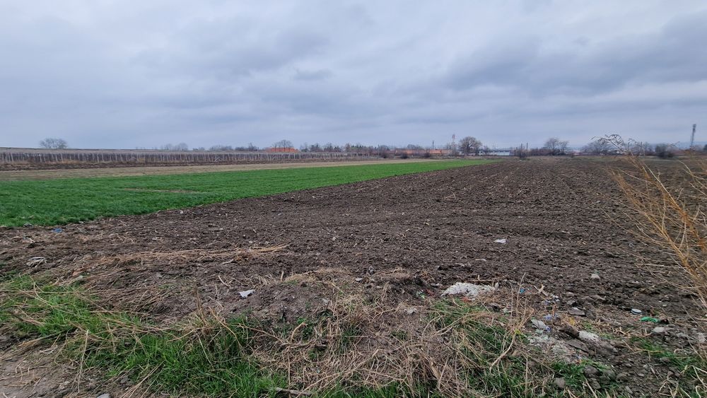 Vând teren intravilan în Mizil