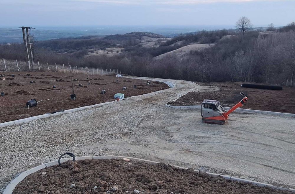 Inchiriere utilaj Excavator, Bobcat, Basculanta, Tocator vegetale