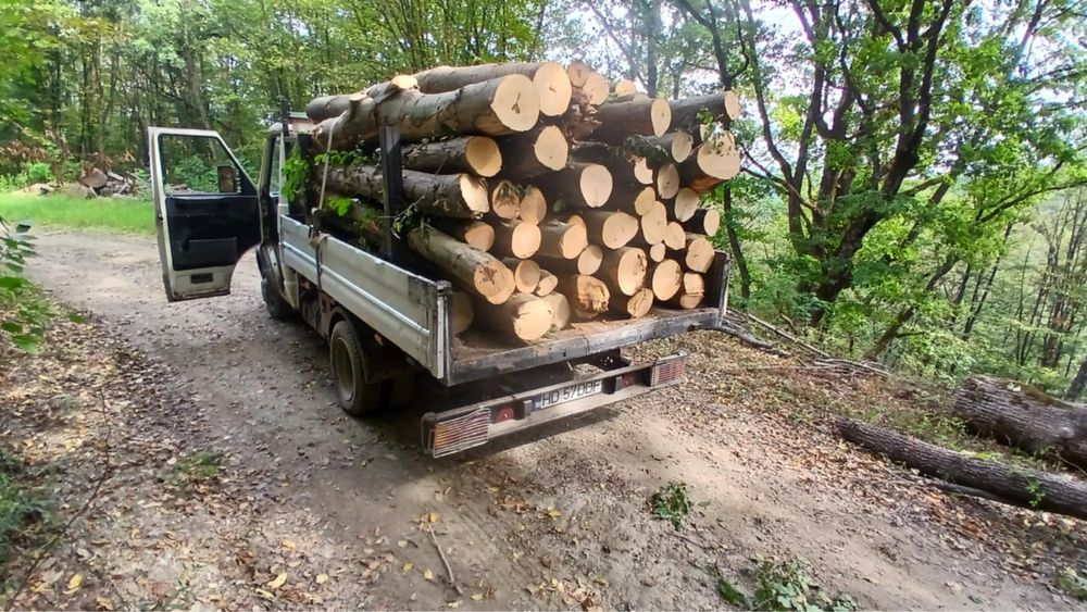 Lemn de foc !! Tot judetul !!