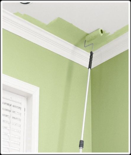 Zugraveli,igienizari apartamente,emailat ,vopsit cazi