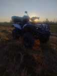 Linhai 300cc 4x2 Dragon Fly