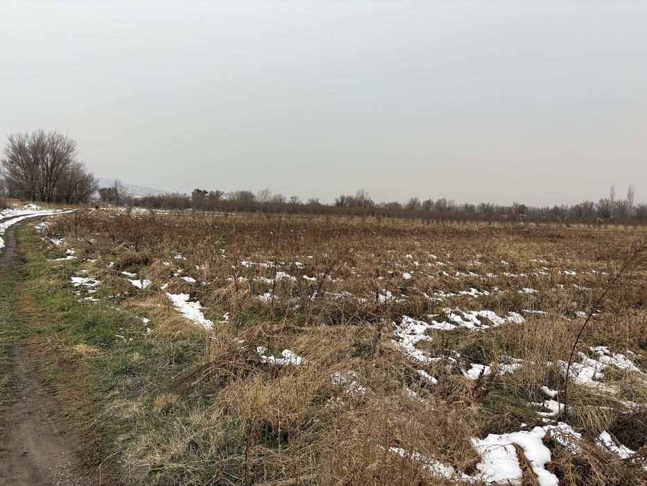 Продаётся 4,6 га земли (КХ)