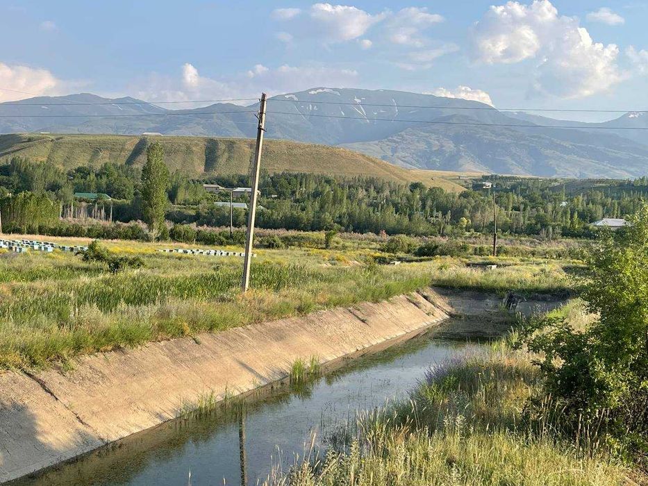 Хозяйство рыбное в Бахмальском районе Джиззакской области