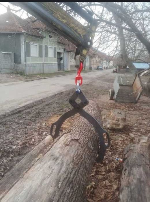 Cleste Pentru Lemne