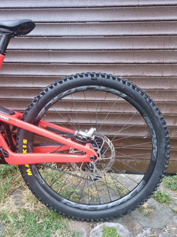 Santa Cruz V10.8 DH (2024) L