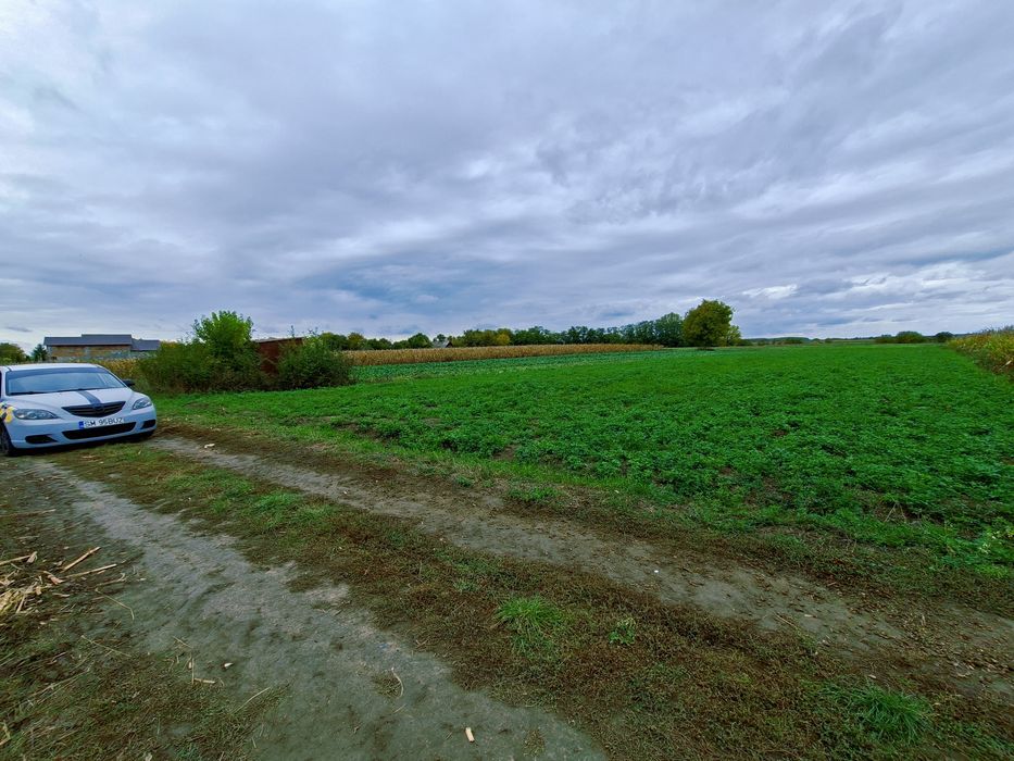 Teren intravila traian