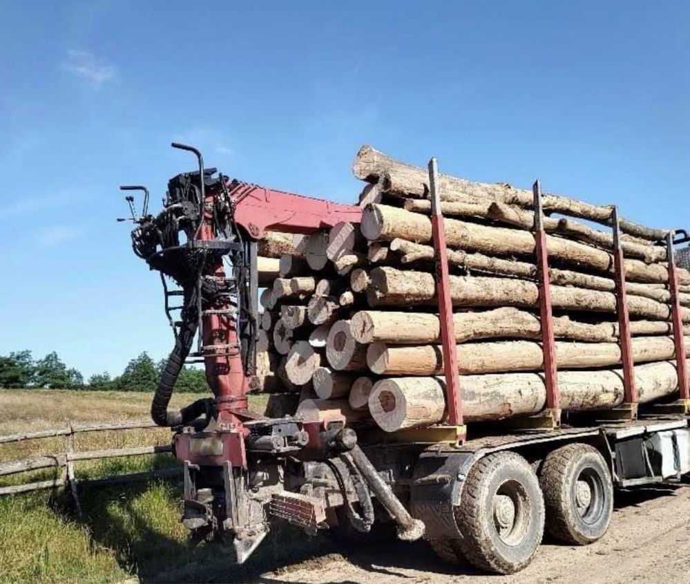 Vindem lemne de foc esențe tarii [Fag,Gorun,Carpen,Cer]