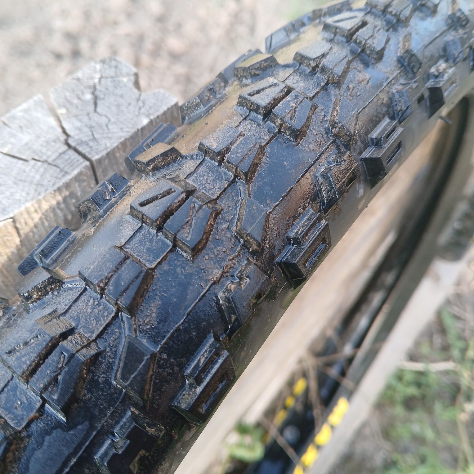 Виншни гуми maxxis