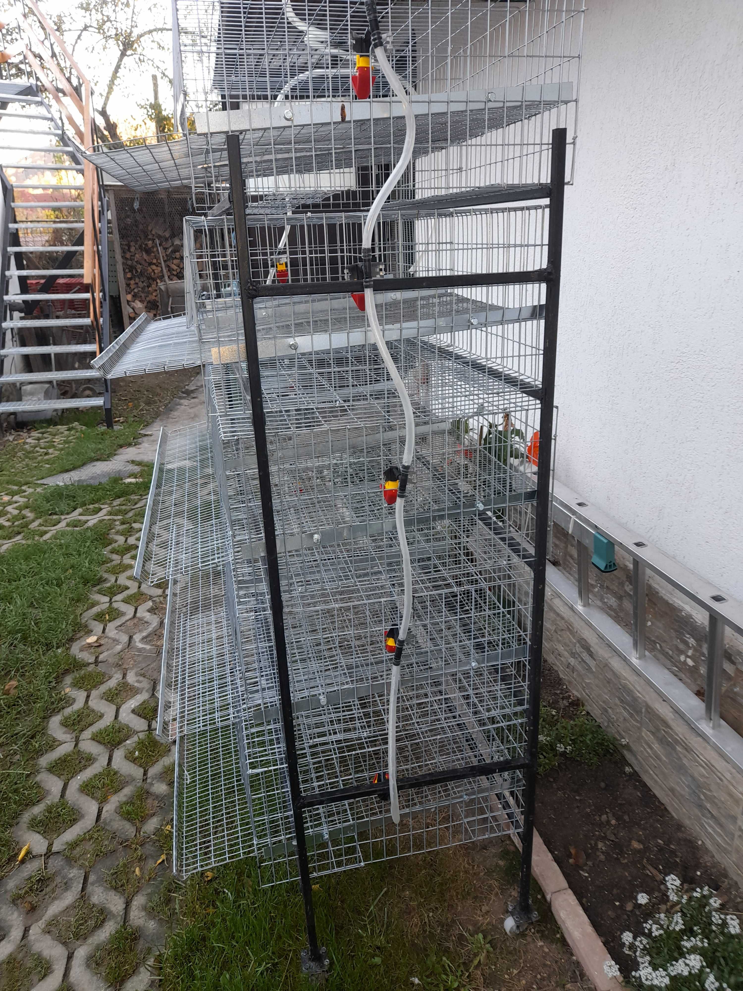 Baterie de 5 custi pentru 250buc. prepelite,custi prepelite