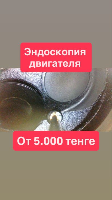 Эндоскопия Двигателя На Выезд