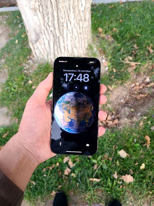 Iphone 13 pro max 256