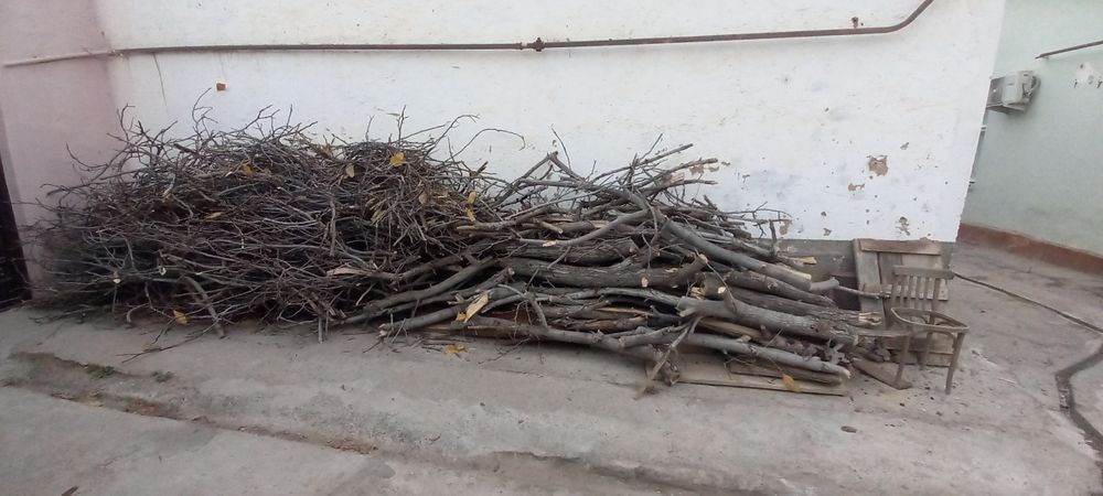 Продам дрова от орехового дерева и остальное