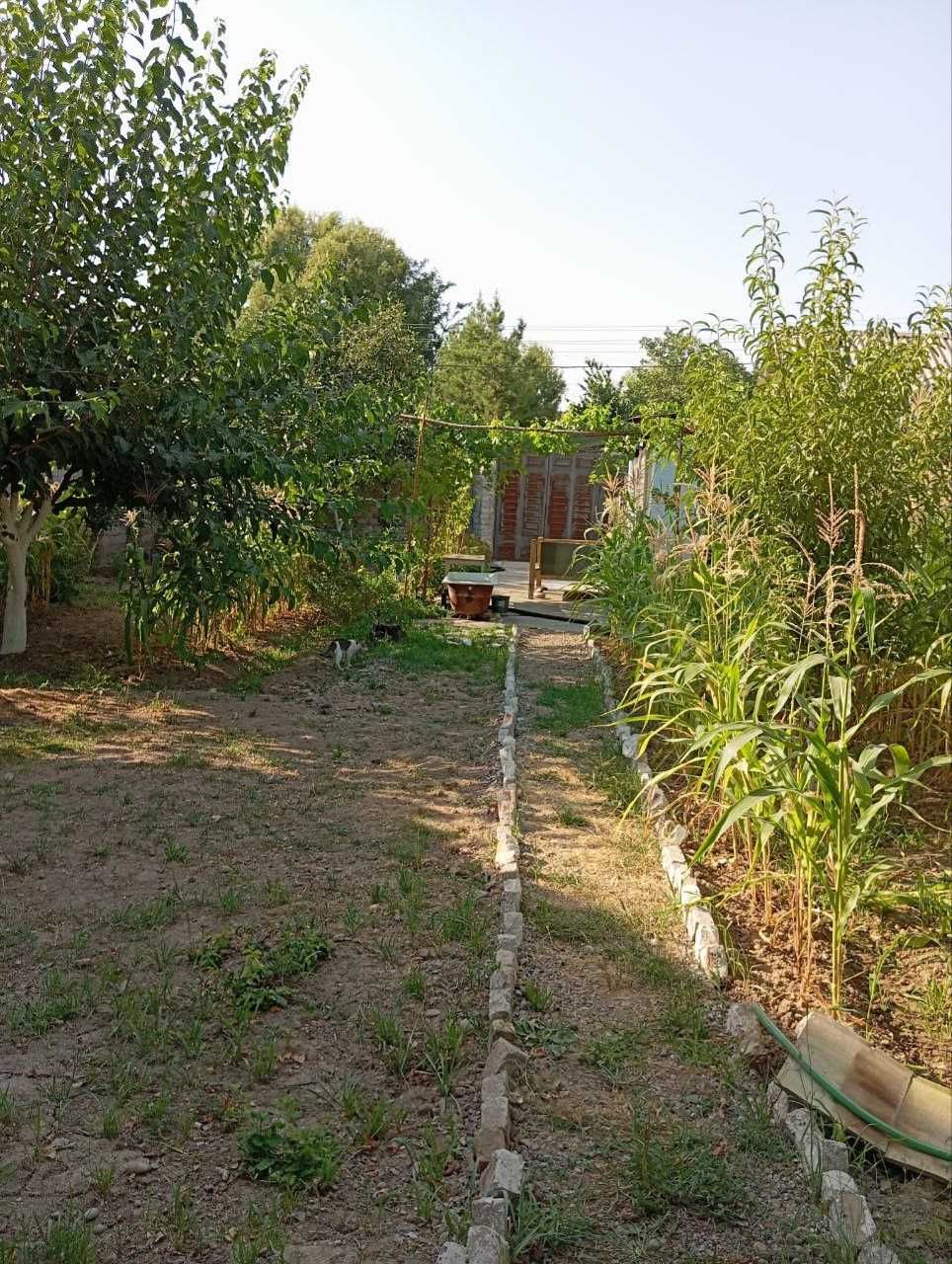 Продаётся дом: Келес, Сарке, М 1, улица Дустлик, 6 соток, 3 комнаты