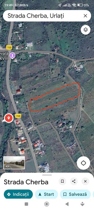 Teren cu viță de vie