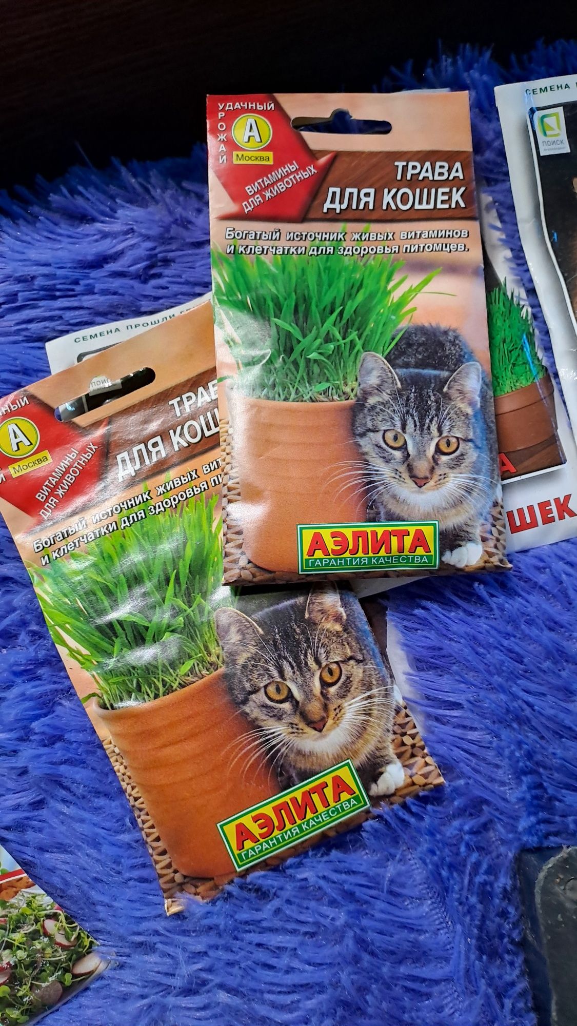 продам семена микрозелени