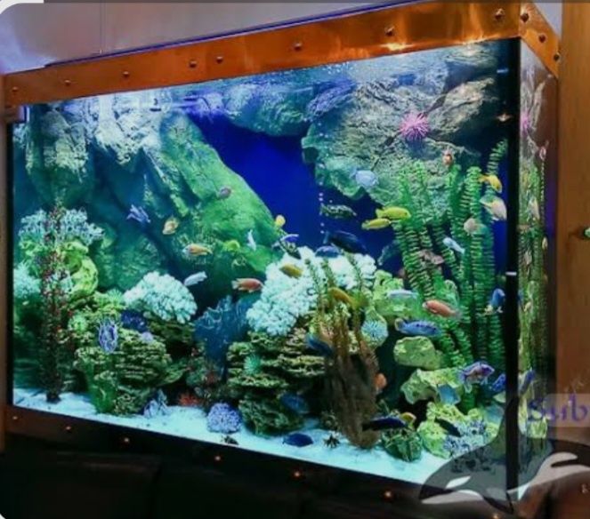 Акварим ясаш ремонт хизмати.