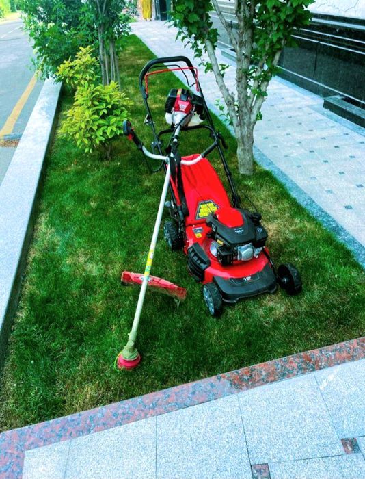 Gazon oramiz va dorilaymiz