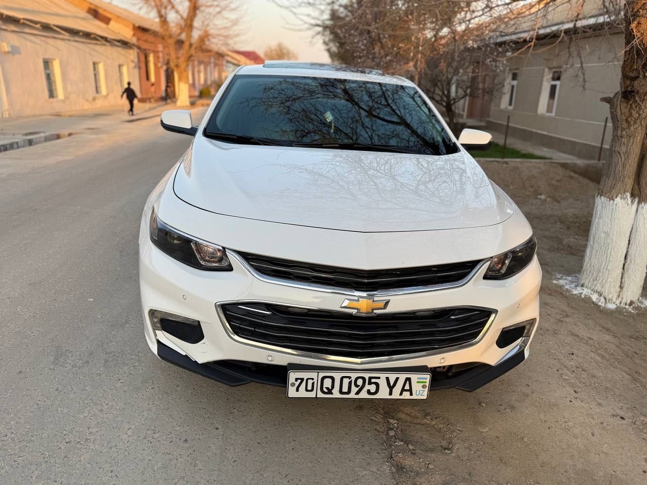 Malubi 2 primier sotiladi, holati zo’r