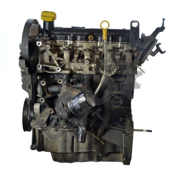 Двигател Renault Scenic II RM080421N-38