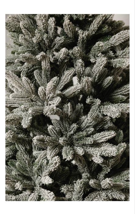 Продается ёлка.