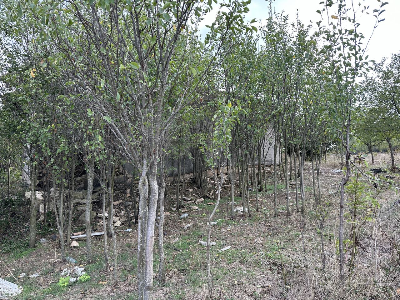 Продава се Тристаен апартамент в Разград, Варош - 2300 кв.м за 5 €/кв.м - Снимка #1