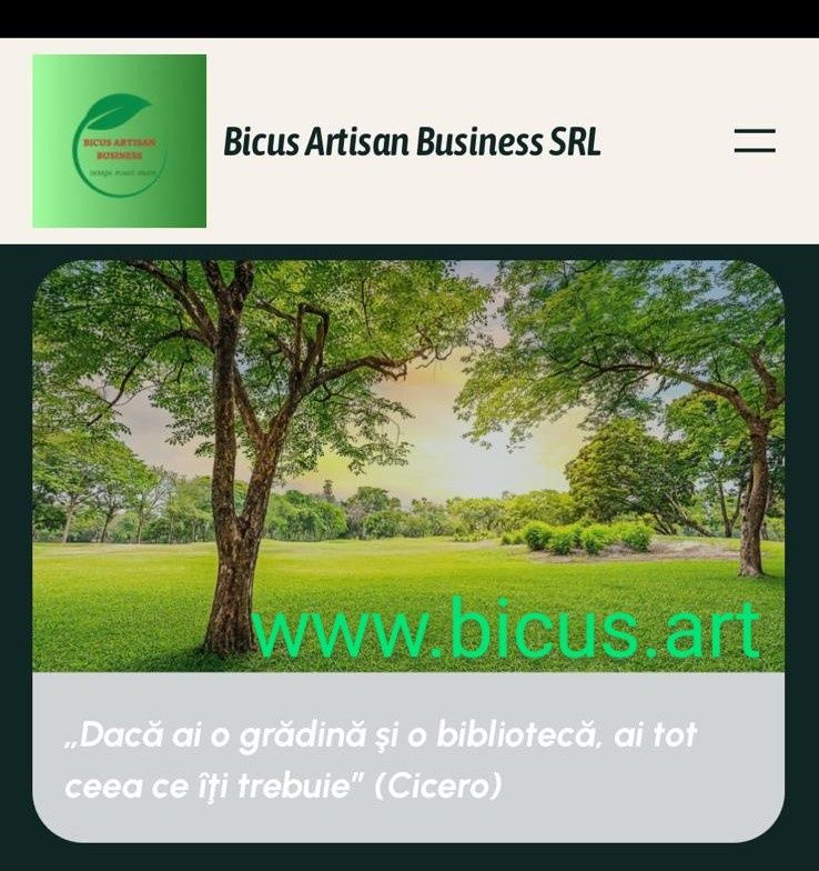 Servicii gazon. Întreținere montaj tundere gazon și iarba