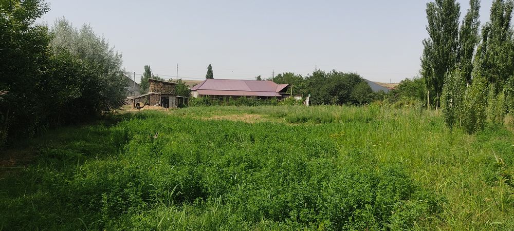 Жер Уй жагдайы жаксы жер колеми 40 соток документ бари ровно