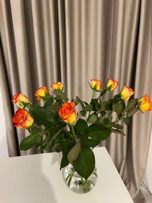 Draperie catifea (7metri latime!] premium blackout 90%