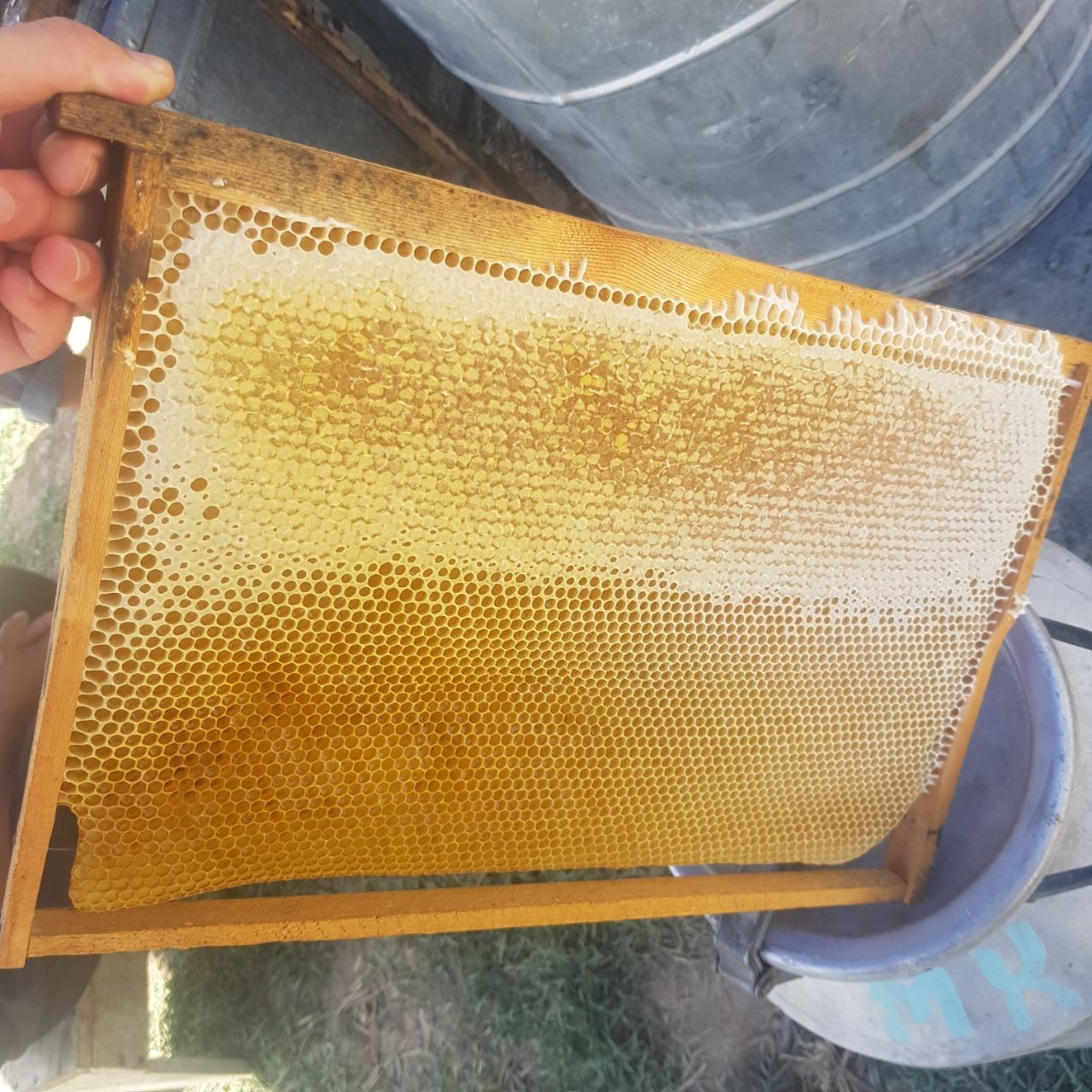 Мёд/асал натуральный