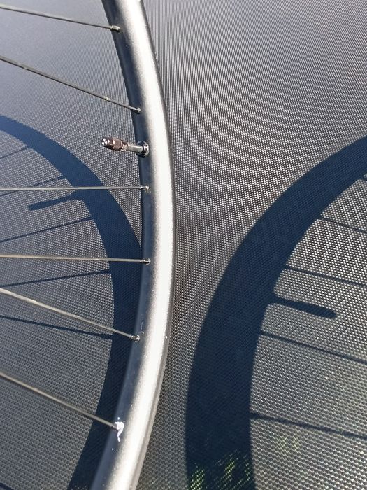 Roti nukeproof 29 fata, spate