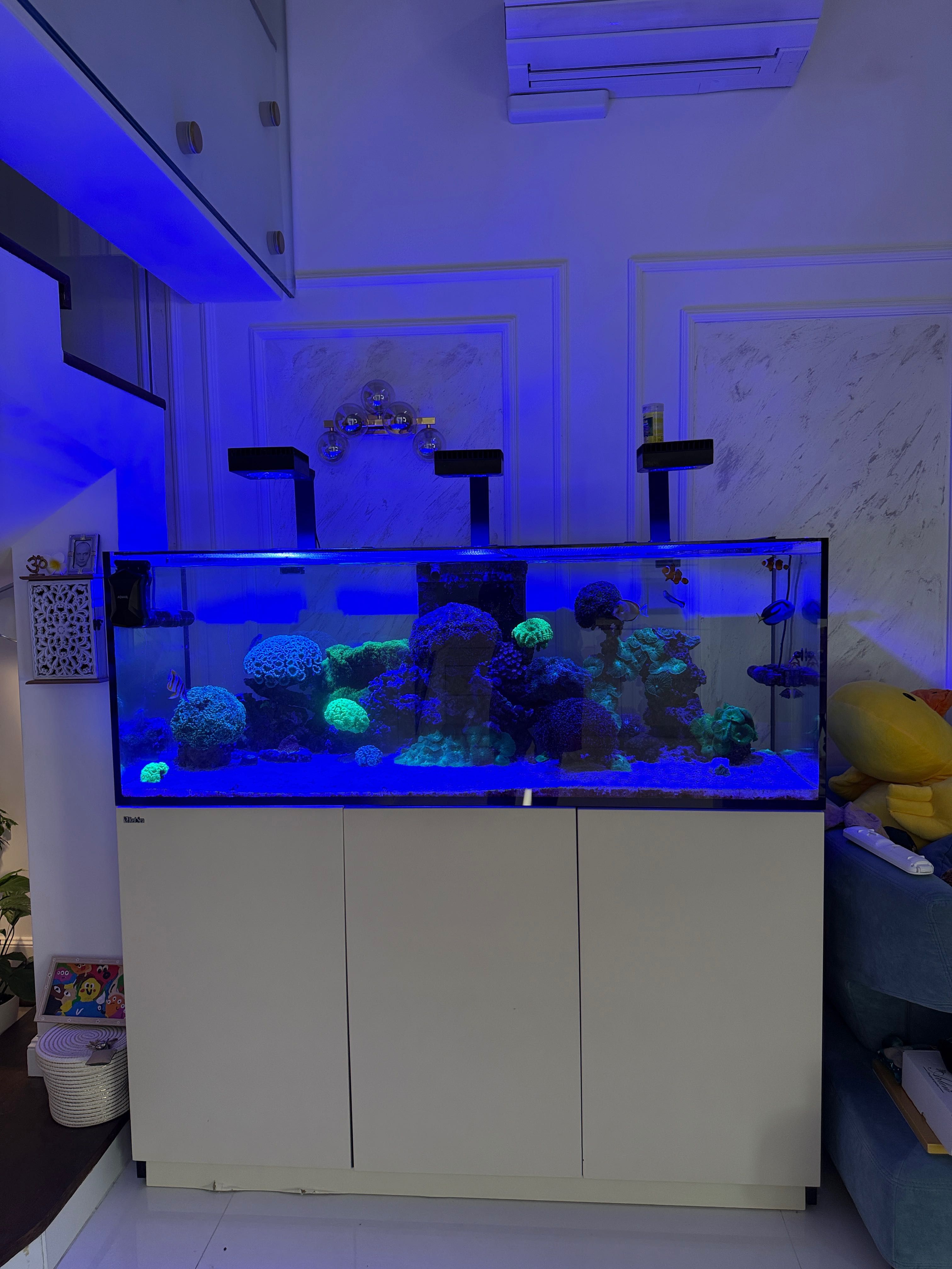 Морски Аквариум готова система всичко включено Red Sea 525XL. Red Sea