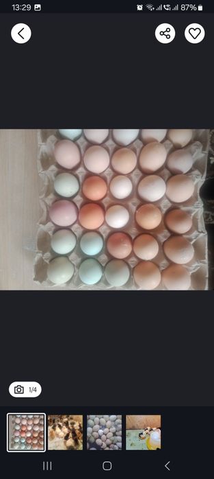 Яица домашние 800