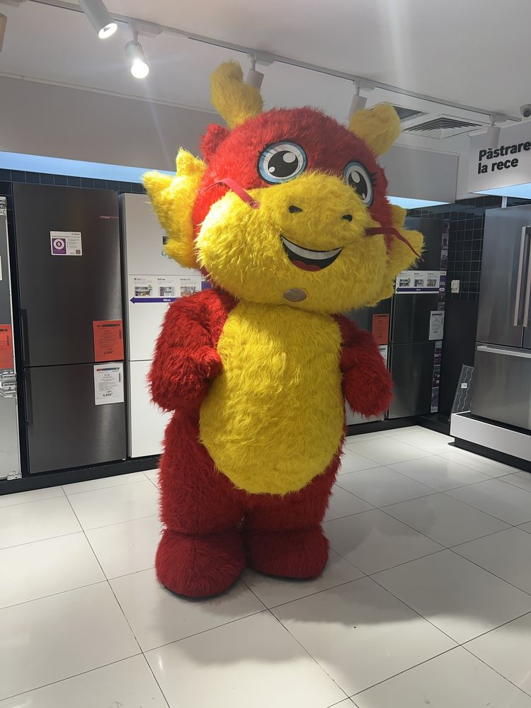 Mascota Dragon chinez  2.6 metri  pentru poze
